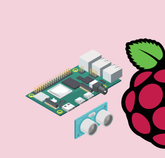 Raspberry Pi Module